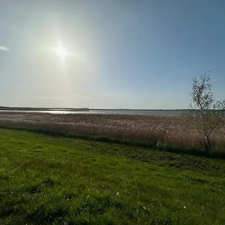 Friedenstrasse 5 Rotbuche Zingst