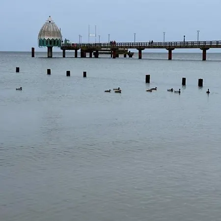 Friedenstrasse 5 Rotbuche Zingst