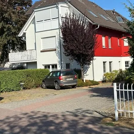 Friedenstrasse 5 Rotbuche Zingst