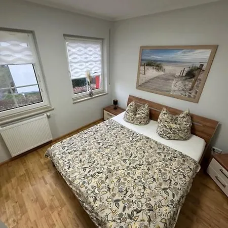 Friedenstrasse 5 Rotbuche *